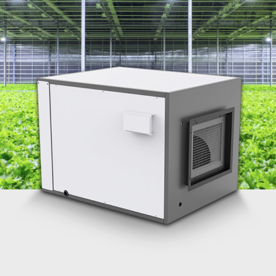 Application of Zeta240 Dehumidifier for Greenhouse