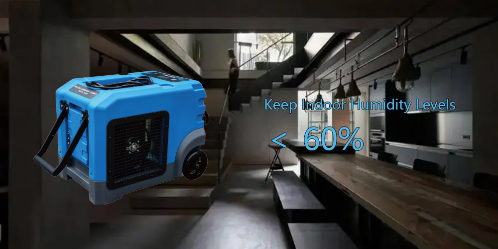 Lgr105 Dehumidifier For Basement Mold Prevention