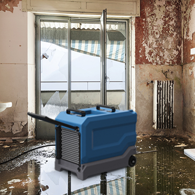 Application Of Algr65 Dehumidifier For Basement Mold