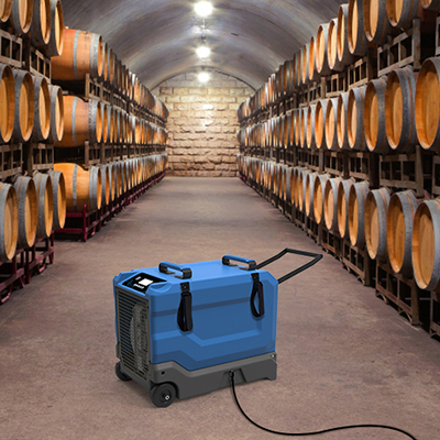 Application of Lgr85 Dehumidifier for Cellar