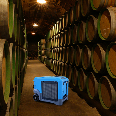 Application of Preair Lgr105 Dehumidifier for Cellar