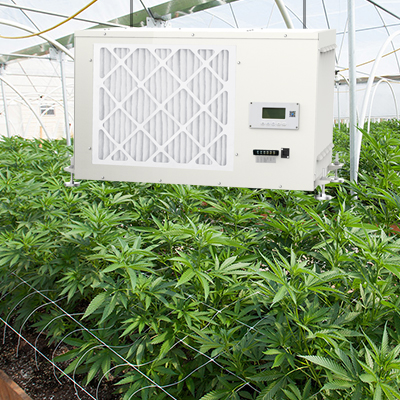 Application of Preair Pro230 Best Dehumidifier for a Grow Room