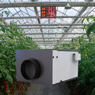 Preair Zeta145 ջերմոցային խոնավացուցիչի կիրառում