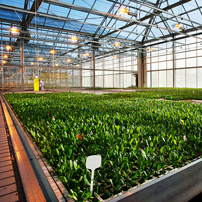 bedste-bærbare-hele-huset-affugter