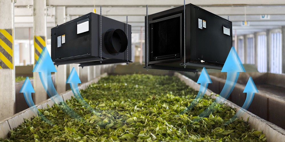 Dehumidification in the Process of Tea Manufacturing Packaging and Storing