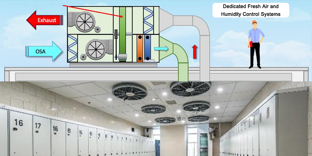 Dehumidification System for Gymnasium Changing Room