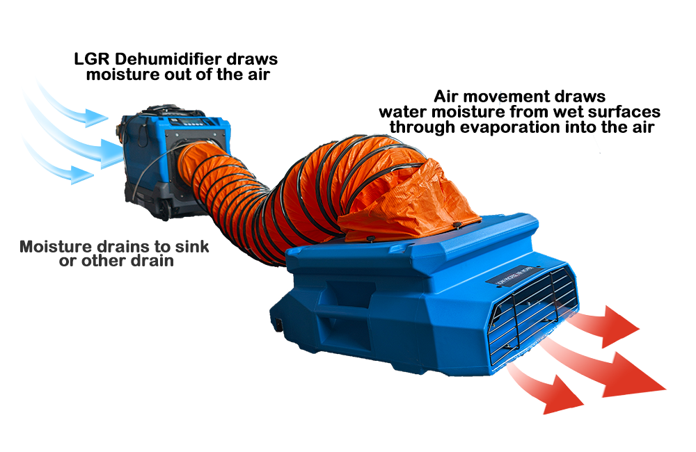 Dehumidifier and Air Mover