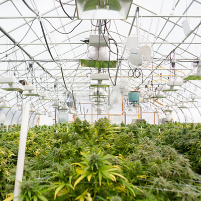 одвлажнувач-поставување-во-соба за растење