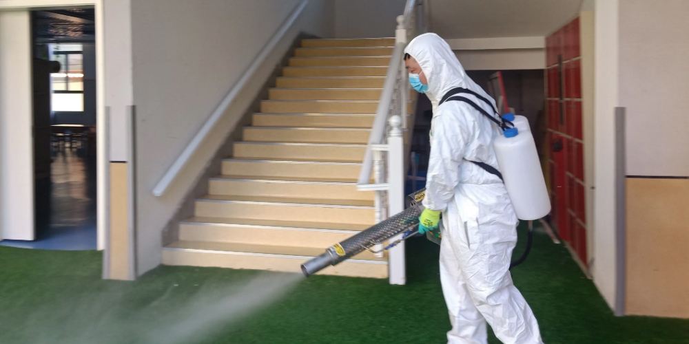 Désinsectisation par une entreprise professionnelle de lutte antiparasitaire