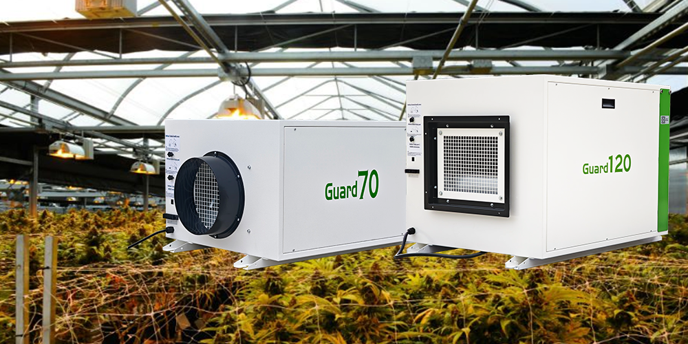 Guard Series Industrial Dehumidifier for Greenhouse