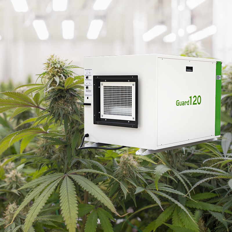 Guard120 Dehumidifier for Cannabis Grow