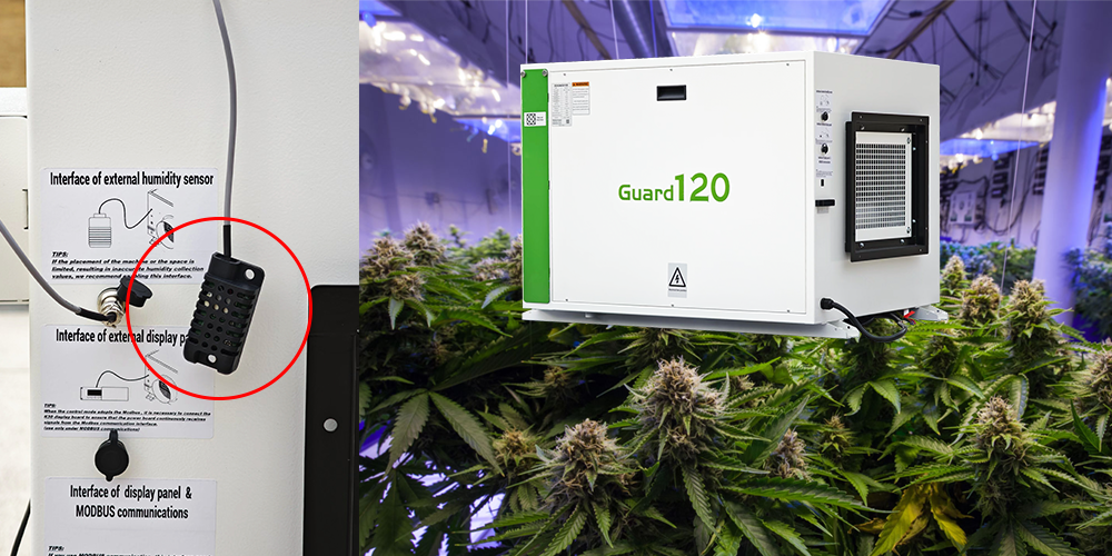 Guard120 Grow Room Dehumidifier with Humidity Sensor