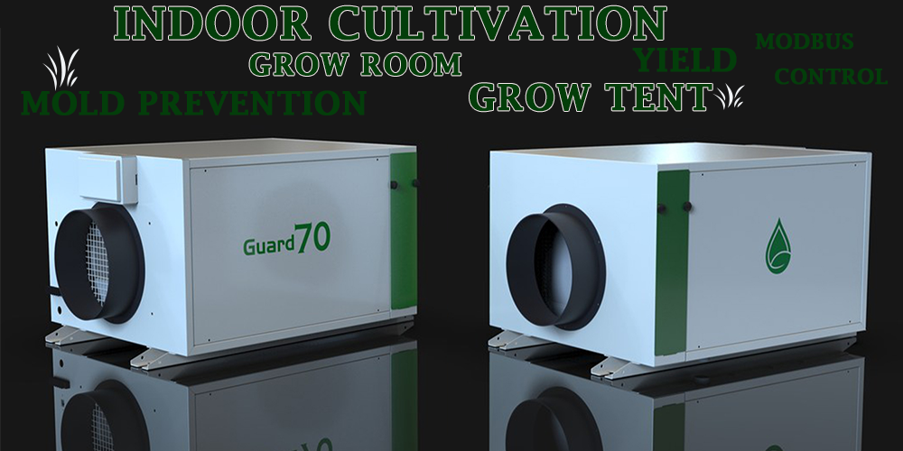Guard70 Cost Effective Dehumidifier for Grow Room Grow Tent