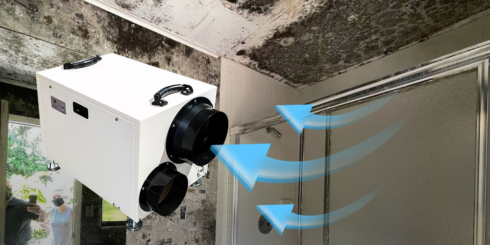 Hd103 Ceiling Dehumidifier for Bathroom Wholesale Price