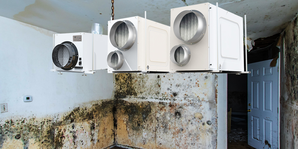 Home Dehumidifiers for Mold and Mildew