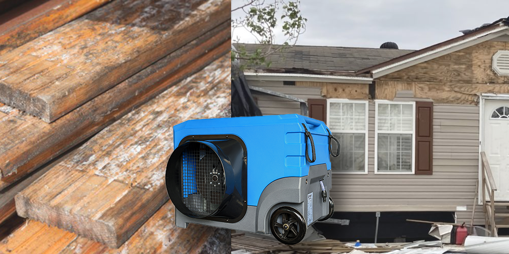 Lgr125 Dehumidifier for Flood Damaged Wooden House