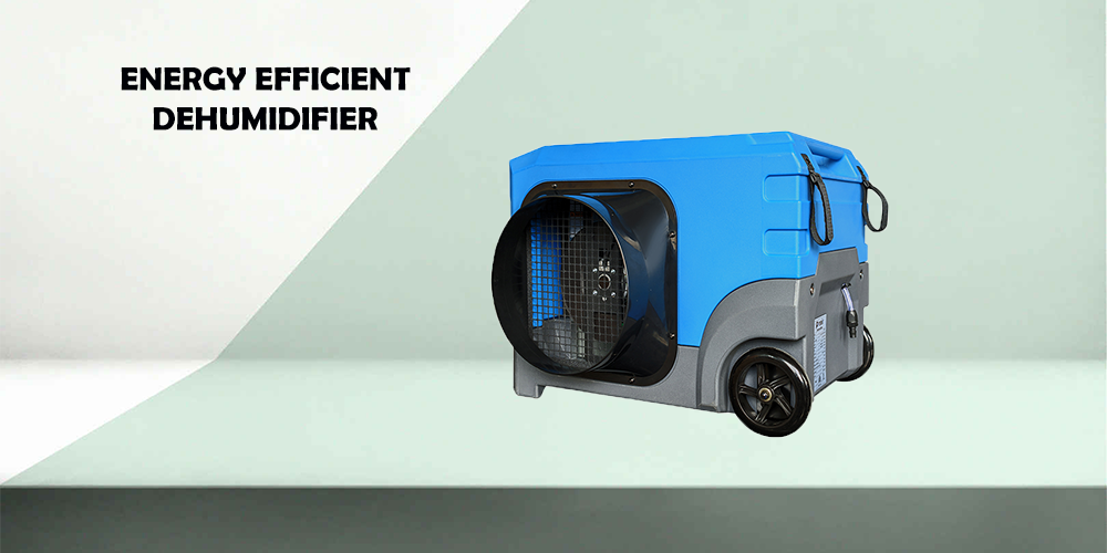 Lgr125 Energy Efficient Dehumidifier