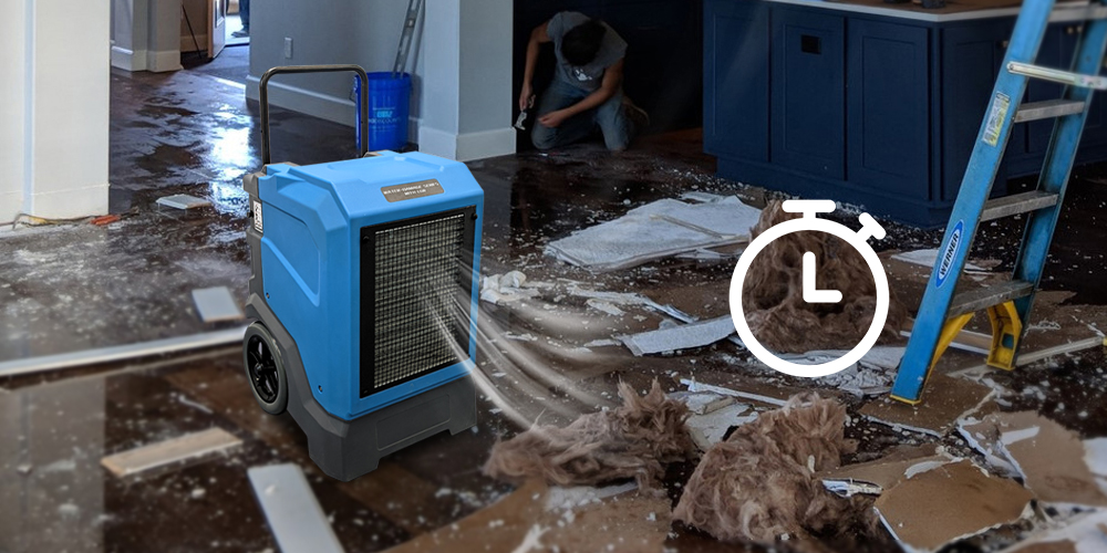 Lgr165l Water Damage Dehumidifier with Timer Function