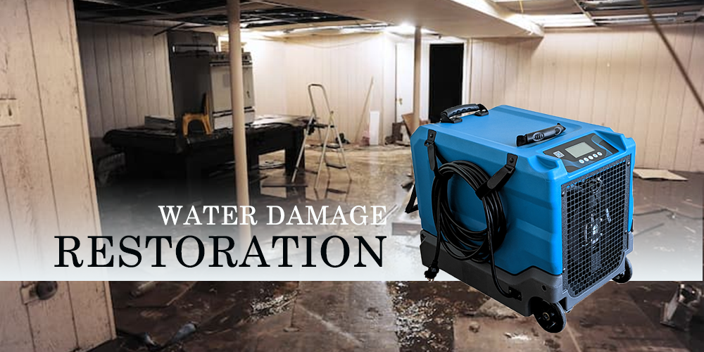 Lgr85 Efficient Dehumidifier for Water Damage Restoration