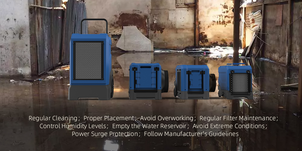 Lifespan of Lgr Dehumidifiers