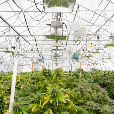 bærbar-affugter-arbejde-for-hele-huset