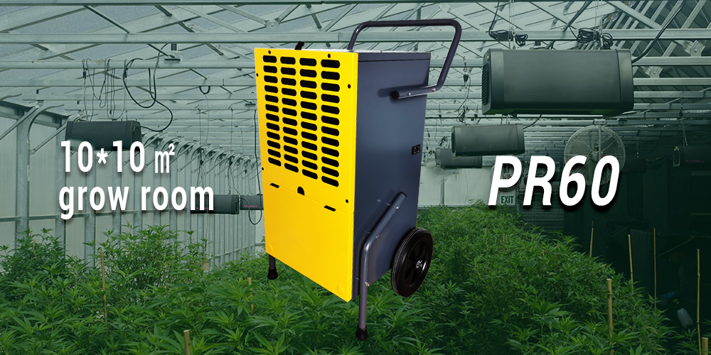 Pr60 Dehumidifier for 10x10 Grow Room