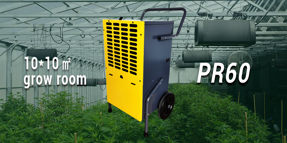 What Size Dehumidifier for 5x5 Grow Tent Preair