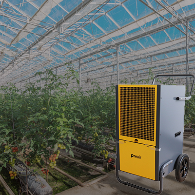 Pr80 Eco Friendly Dehumidifier for Grow Tent