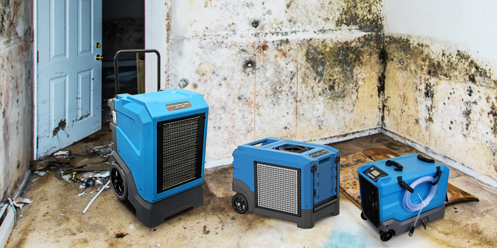 Preair Commercial Dehumidifier for Moldy Basement