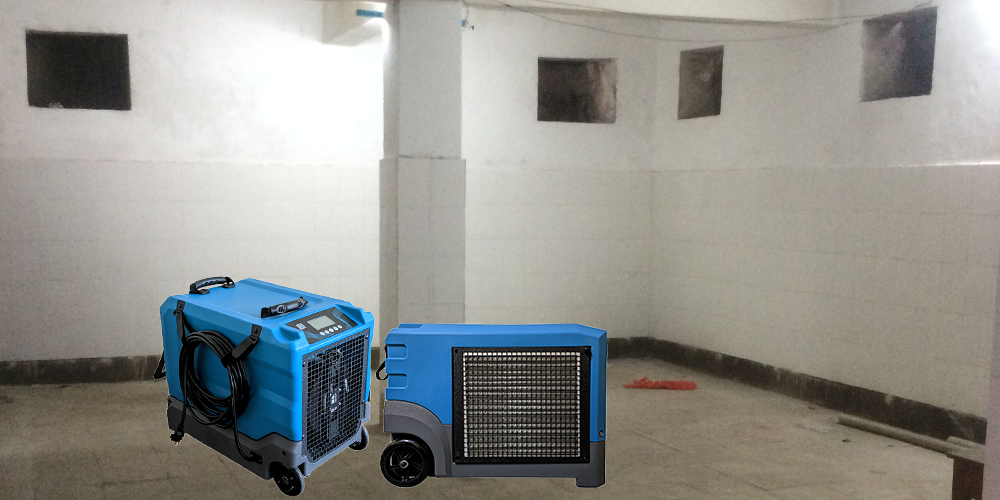 Preair Lgr Dehumidifiers for Full Basement Prevent Mold