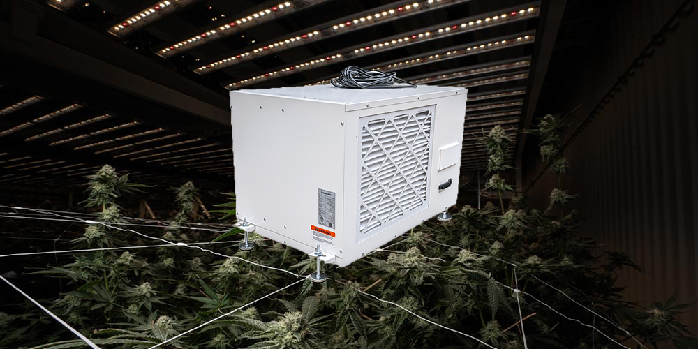 Pro230 Industrial Dehumidifier for Smart Grow Room