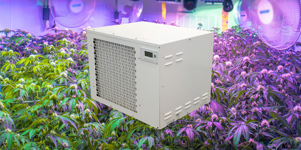 Pro300 Industrial Dehumidifier for Grow Room Cultivation