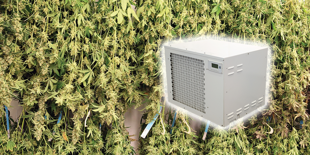 Pro330 Cannabis Dehumidifier for Sale