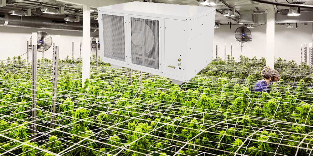 Pro500 Dehumidifier for Cannabis Grow