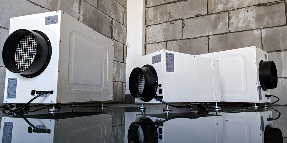 Wh Series Whole House Dehumidifiers for Sale in Winter