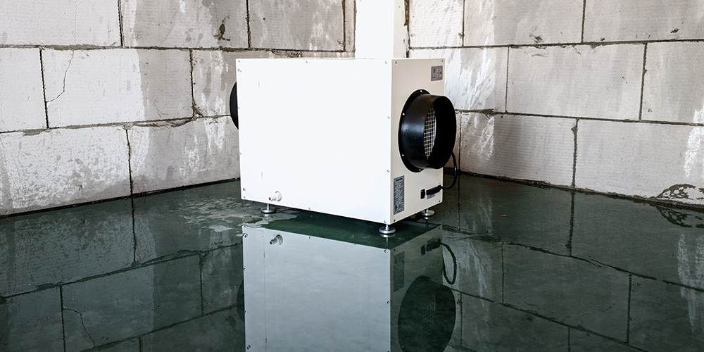 Wh135 Ceiling Dehumidifier for Whole House in Hot Weather