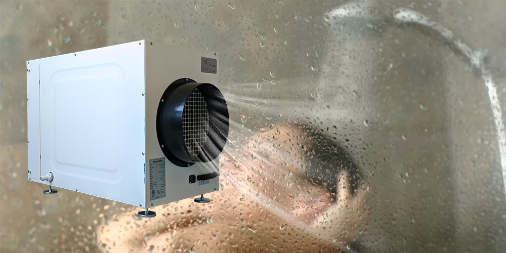 Wh135 Ceiling Mounted Dehumidifier for Bathroom Condensation