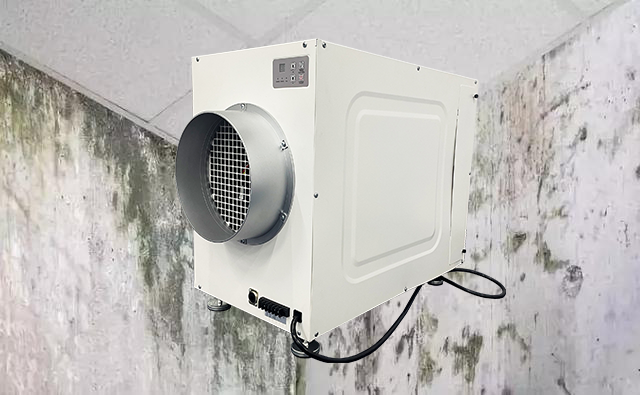 Wh135 Dehumidifier for Home Use to Solve Mold