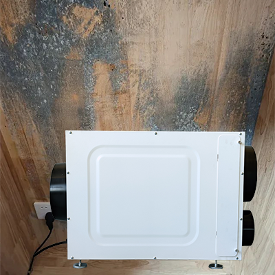 Wh135 Home Dehumidifier for Molded Closet
