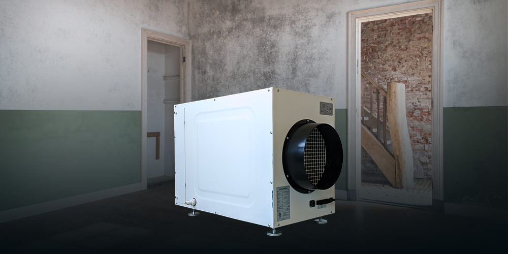 Wh135 Whole House Dehumidifier with Fresh Air Function Wholesale