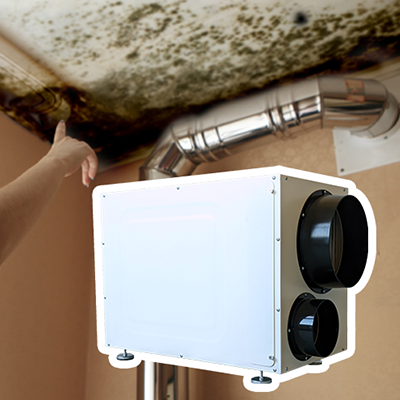 Wh95 Ceiling Dehumidifier for Mold and Mildew
