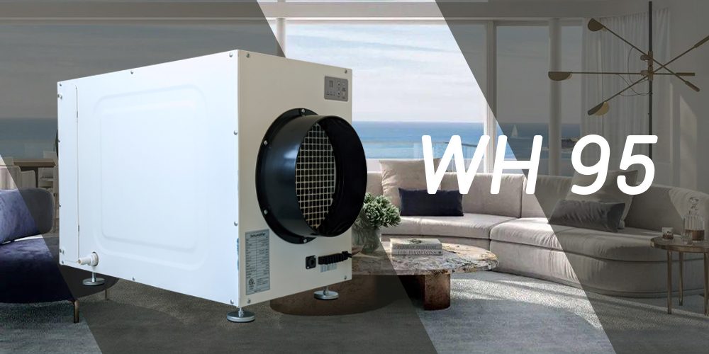 Wh95 Dehumidifier for Beach House