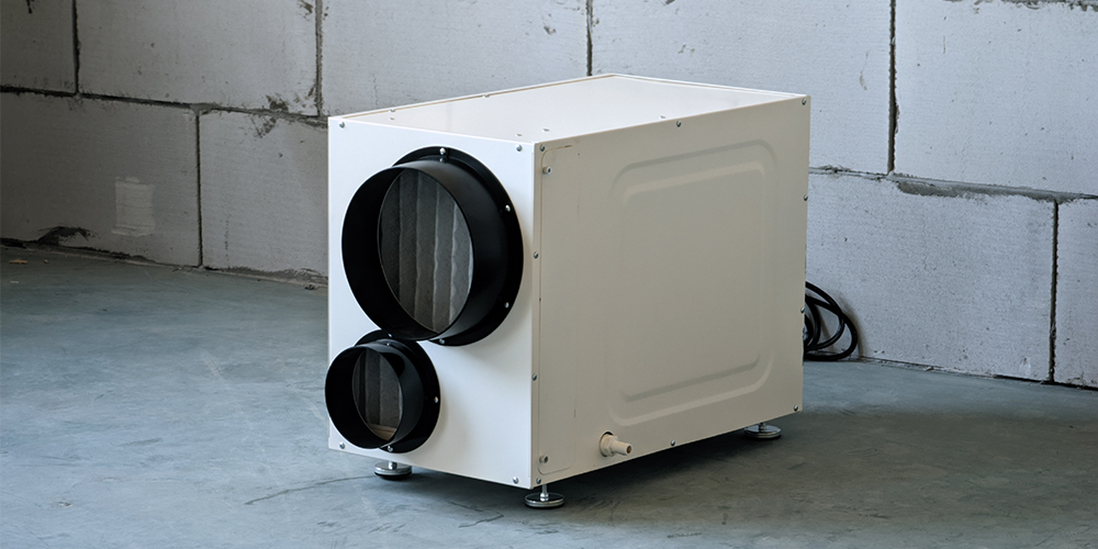 Wh95 Whole House Dehumidifier for Winter Home