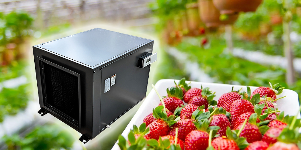 Zeta240 Industrial Dehumidifier for Greenhouse Improve Yield